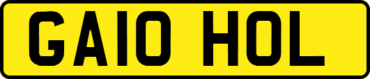 GA10HOL