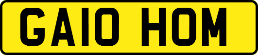 GA10HOM