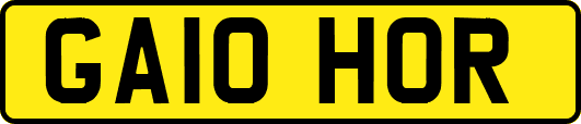 GA10HOR