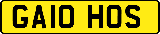 GA10HOS