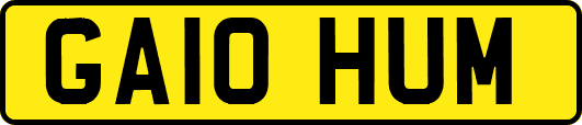 GA10HUM