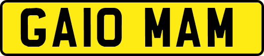 GA10MAM