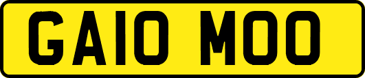 GA10MOO