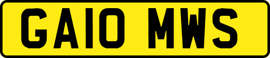 GA10MWS