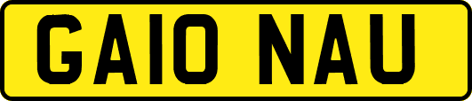 GA10NAU