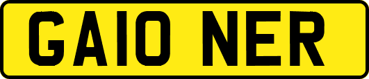 GA10NER