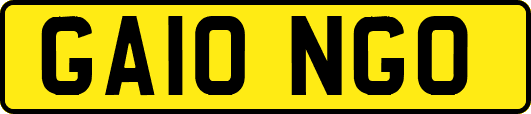 GA10NGO