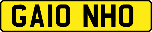 GA10NHO
