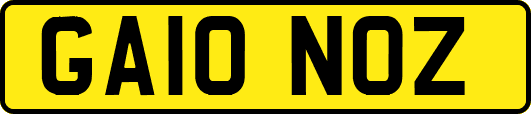 GA10NOZ