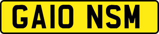 GA10NSM