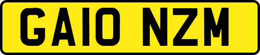 GA10NZM