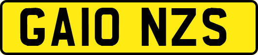 GA10NZS