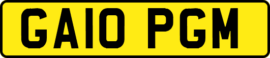 GA10PGM