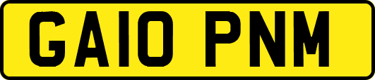 GA10PNM
