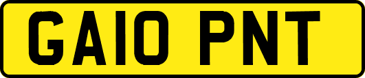 GA10PNT