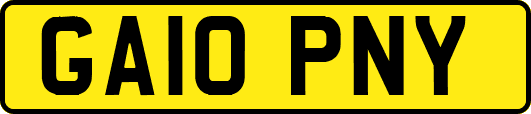 GA10PNY