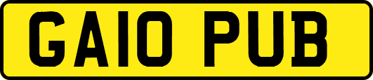 GA10PUB