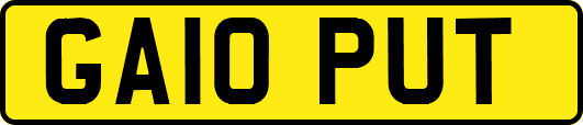 GA10PUT