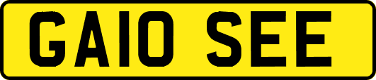 GA10SEE