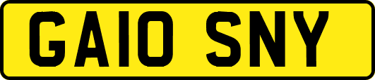 GA10SNY