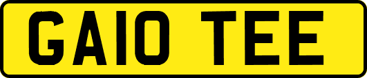 GA10TEE