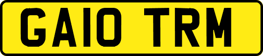GA10TRM