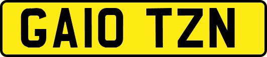 GA10TZN