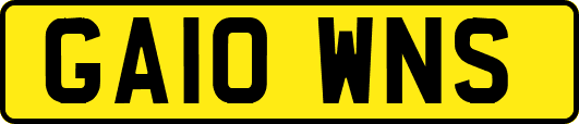 GA10WNS