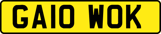 GA10WOK