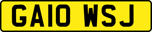 GA10WSJ