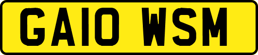 GA10WSM