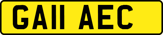 GA11AEC