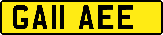 GA11AEE