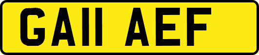 GA11AEF