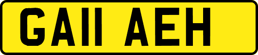 GA11AEH