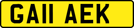 GA11AEK