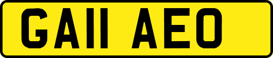 GA11AEO