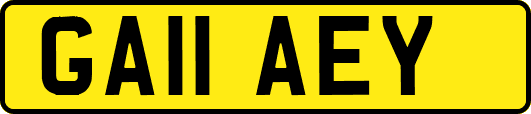 GA11AEY