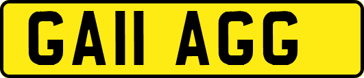GA11AGG