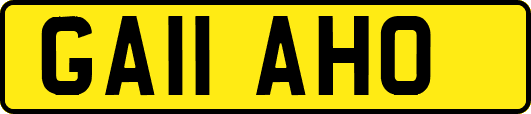 GA11AHO