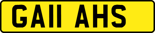 GA11AHS