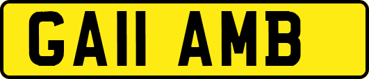 GA11AMB