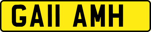 GA11AMH