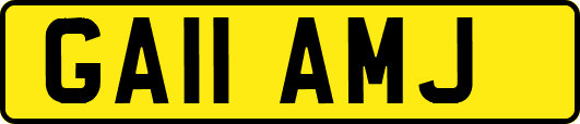 GA11AMJ