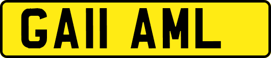 GA11AML