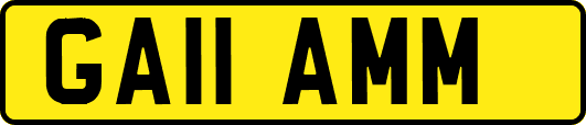 GA11AMM