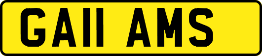 GA11AMS
