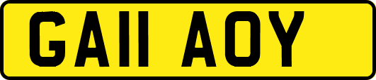 GA11AOY