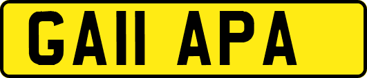 GA11APA