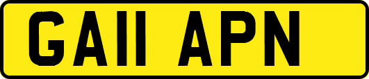 GA11APN